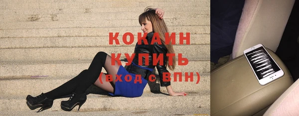 стафф Елизово