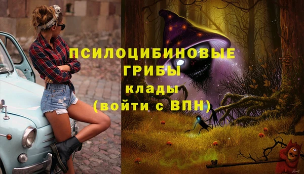 стафф Елизово